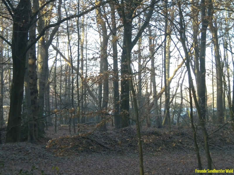 DSCN1843