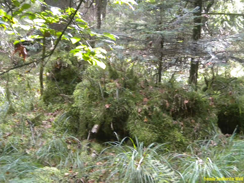 DSCN2289